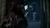 the_100_survivors_1772.jpg