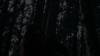 the_100_survivors_2060.jpg