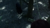 the_100_survivors_2152.jpg