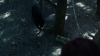the_100_survivors_2154.jpg