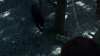 the_100_survivors_2156.jpg