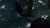 the_100_survivors_2157.jpg