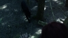 the_100_survivors_2164.jpg