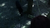 the_100_survivors_2166.jpg