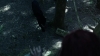 the_100_survivors_2168.jpg