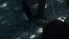 the_100_survivors_2170.jpg