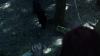 the_100_survivors_2173.jpg
