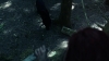 the_100_survivors_2175.jpg