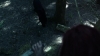 the_100_survivors_2176.jpg