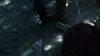 the_100_survivors_2179.jpg
