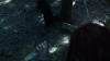 the_100_survivors_2182.jpg