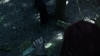the_100_survivors_2183.jpg