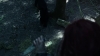 the_100_survivors_2186.jpg