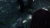 the_100_survivors_2188.jpg