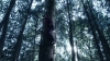 the_100_survivors_2236.jpg