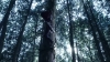 the_100_survivors_2243.jpg