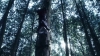 the_100_survivors_2246.jpg