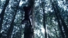 the_100_survivors_2249.jpg