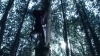 the_100_survivors_2250.jpg