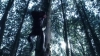 the_100_survivors_2251.jpg