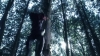 the_100_survivors_2252.jpg