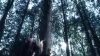 the_100_survivors_2257.jpg