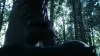 the_100_survivors_2268.jpg