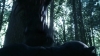 the_100_survivors_2269.jpg