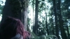 the_100_survivors_2275.jpg