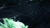 the_100_survivors_2281.jpg