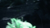 the_100_survivors_2284.jpg