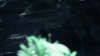 the_100_survivors_2285.jpg