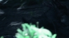 the_100_survivors_2286.jpg