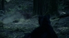 the_100_survivors_2288.jpg
