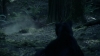 the_100_survivors_2289.jpg