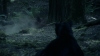 the_100_survivors_2290.jpg