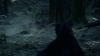 the_100_survivors_2291.jpg