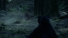 the_100_survivors_2292.jpg