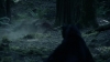 the_100_survivors_2293.jpg