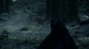 the_100_survivors_2294.jpg