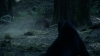 the_100_survivors_2296.jpg