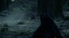 the_100_survivors_2297.jpg