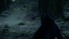 the_100_survivors_2298.jpg