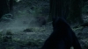 the_100_survivors_2299.jpg
