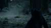 the_100_survivors_2301.jpg