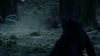 the_100_survivors_2302.jpg