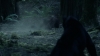 the_100_survivors_2303.jpg