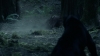 the_100_survivors_2304.jpg