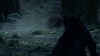 the_100_survivors_2305.jpg