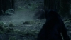 the_100_survivors_2307.jpg